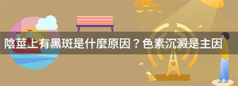 龜頭黑|陰莖上有黑斑是何原因？要緊嗎？